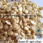 Vietnamese Cashew Nut Kernels SP