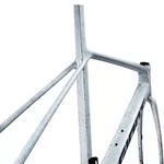 2025 Giant TCR Advanced SL Frameset (ALANBIKESHOP)