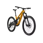 2025 Canyon Spectral:ONfly CF CLLCTV Mountain Bike (INDORACYCLES)