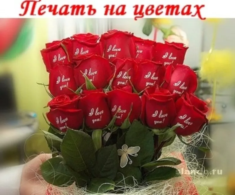 принтер 3
