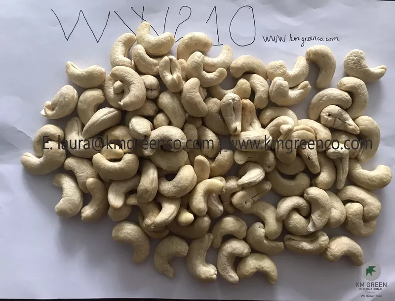 Vietnamese Cashew Nut Kernel WW180,  WW210 2