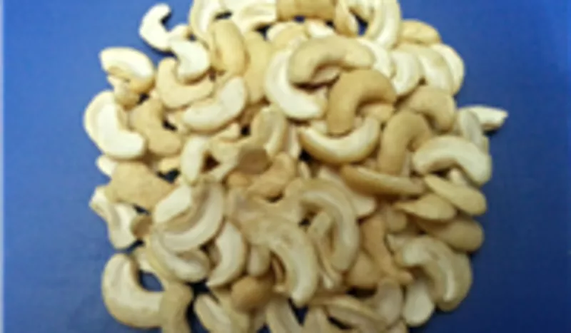 Vietnamese Cashew Nut Kernel WS,  LP