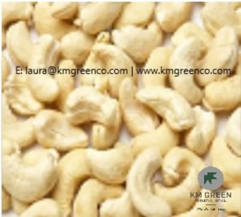 Vietnamese Cashew Nut Kernel WW240,  WW320