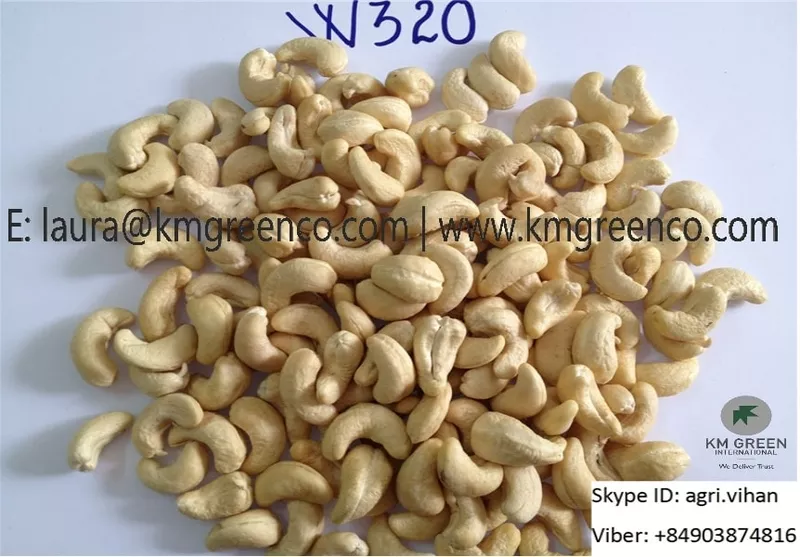Vietnamese Cashew Nut Kernel WW240,  WW320 2