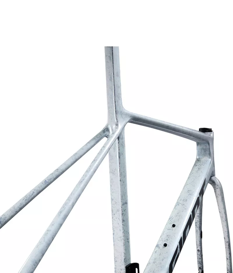 2025 Giant TCR Advanced SL Frameset (ALANBIKESHOP)